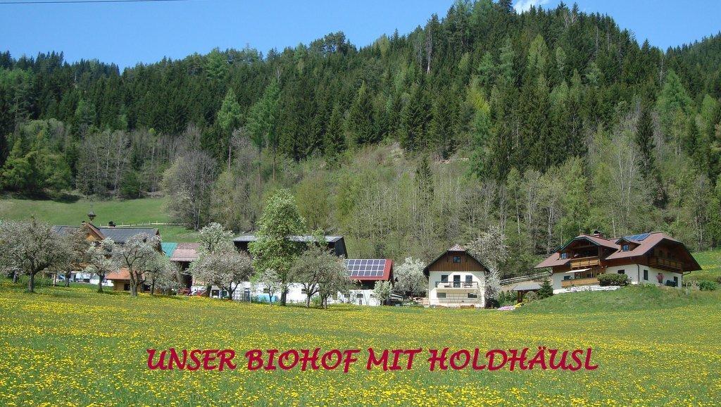 슈라드밍 Holdhaeusl 아파트 객실 사진